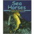 Sea Horses