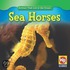 Sea Horses