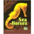 Sea Horses