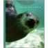 Sea Otters