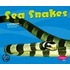 Sea Snakes
