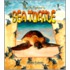 Sea Turtle