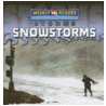 Snowstorms door Jim Mezzanotte