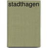 Stadthagen door Heinrich Munk