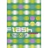 Flash ActionScript