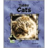 Tabby Cats by Julie Murray