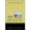 The Meadow door James Galvin