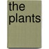 The Plants