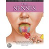 The Senses by Adolfo Cassan