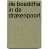 De Boeddha in de drakenpoort
