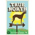 True North