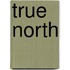 True North
