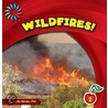 Wildfires! by Cecilia Minden