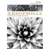 Xerophilia