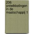 206 Ontwikkelingen in de maatschappij 1