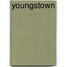 Youngstown door Rand McNally