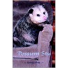 'Possum Stu by Donna Fritz