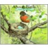 About Birds