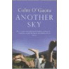 Another Sky door Colm O'Gaora