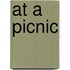 At a Picnic