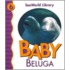 Baby Beluga