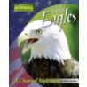 Bald Eagles door Meish Goldish