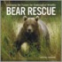 Bear Rescue