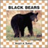Black Bears