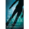 Bleak Water by Danuta Reah