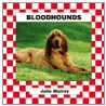 Bloodhounds door Julie Murray