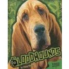 Bloodhounds by Tammy Gagne