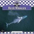 Blue Whales