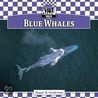 Blue Whales door Megan M. Gunderson