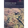 Bodmin Moor door Peter Herring