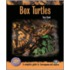 Box Turtles