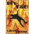 Boy on Fire