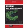 Brain Aging by Riddle David R