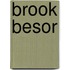 Brook Besor