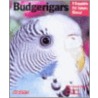 Budgerigars by Immanuel Birmelin