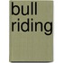 Bull Riding