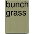 Bunch Grass