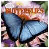 Butterflies by Suzanne Slade