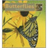 Butterflies by Teresa Wimmer