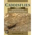 Caddisflies