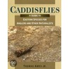 Caddisflies by Thomas Ames