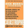 Catastrophe door Eileen McCann