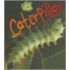 Caterpillar