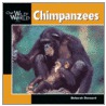 Chimpanzees door Deborah Dennard
