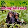 Chimpanzees door Sarah Albee