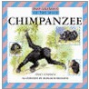 Chimpanzees by Jinny May Johnson